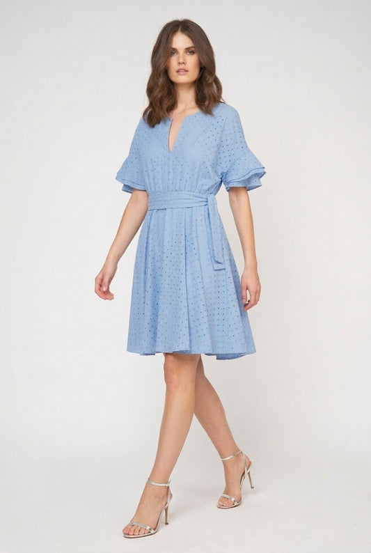 Sky Blue Embroidered Dress with Ruffle Sleeves