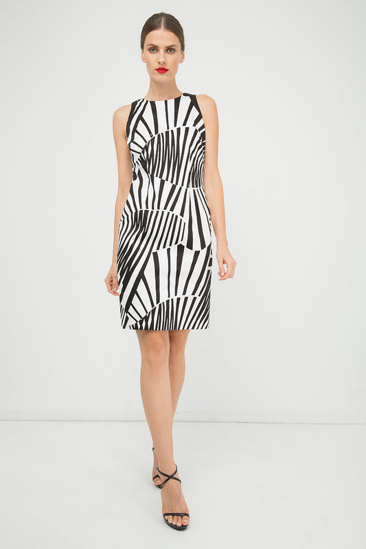 Fitted Sleeveless Print Dress