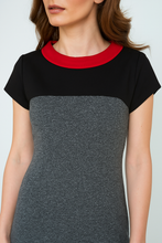 Load image into Gallery viewer, Straight Short Sleeve Dress with Stand Up Collar In Red