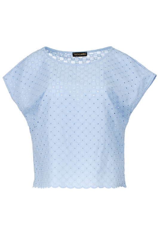 Sky Blue Sleeveless Embroidered Top