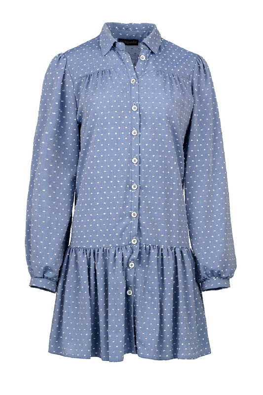 Denim Style Embroidered Dress with Buttons