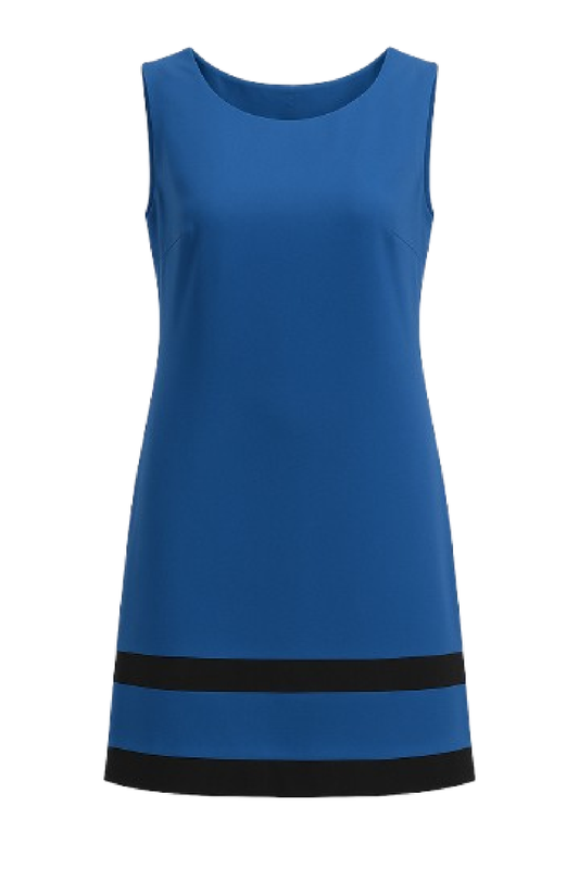 Sleeveless A Line Panel Detail Dress