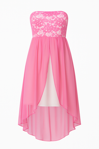 Sheer & Lace Layer Dress