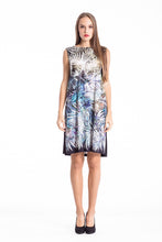 Load image into Gallery viewer, Pleat Detail Print Dress