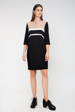 Load image into Gallery viewer, Straight Panel Detail Dress