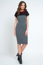 Load image into Gallery viewer, Straight Short Sleeve Dress with Stand Up Collar