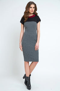 Straight Short Sleeve Dress with Stand Up Collar